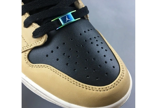 Fossil Air Premium WMNS 1 Jordan AH7389-003 Mushroom AH7389-003 High 0224